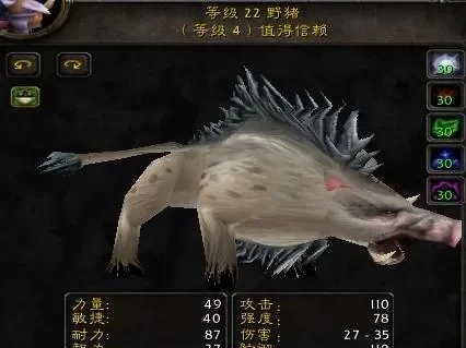 魔兽世界70级猎人最佳宝宝推荐及分析