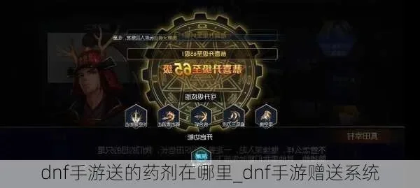 dnf手游pl药-dnf手游PL药使用指南
