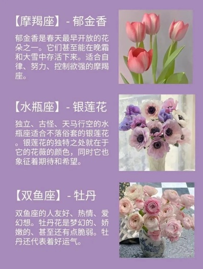 三步找出你的本命花，原来这么简单