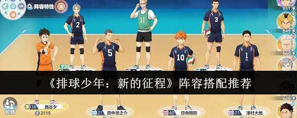 排球少年新的征程阵容怎么搭配-阵容搭配推荐