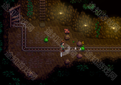 星露谷物语古物获取方法详解