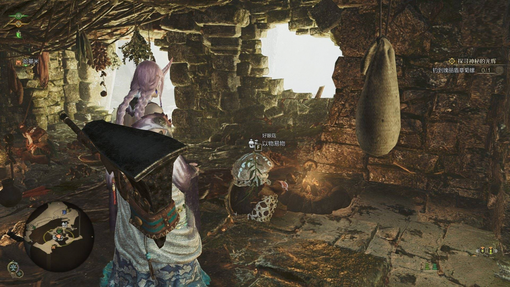 怪物猎人荒野：获取“大大的宝物”的方法与位置详解