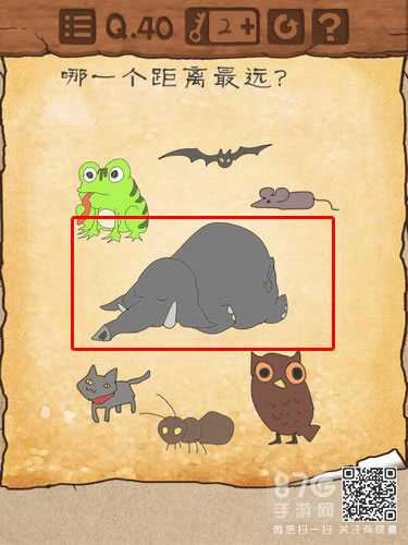 最囧游戏3第40关攻略：如何选择大象通关