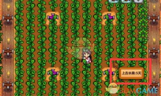 星露谷物语上古种子获取全攻略：从野外到生产器，多种途径助你收集