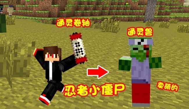 我的世界火影忍者指令详解：NBT写轮眼开启与使用全攻略