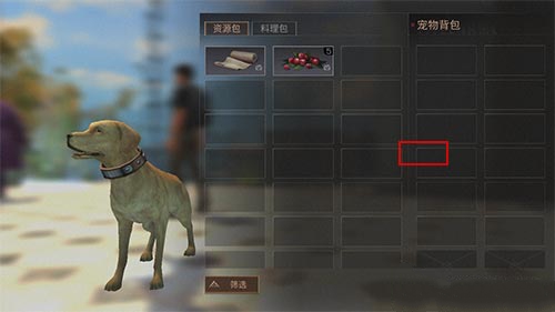 明日之后如何有效利用宠物背包：选择、开启与使用全解析