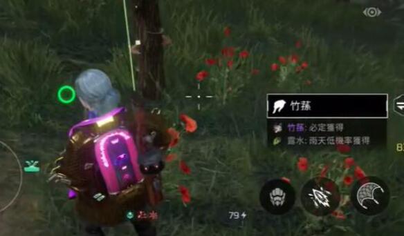 星球重启竹荪烤串制作全攻略