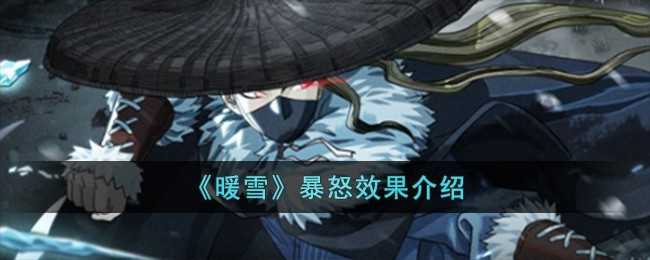 暖雪武器暴怒效果全面解析：适合哪些玩家？