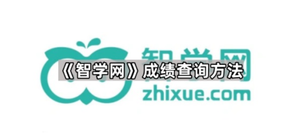 智学网成绩查询全攻略：电脑、手机查询步骤详解