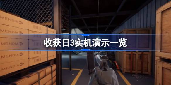 收获日3实机体验记：合作乐趣与改进之处