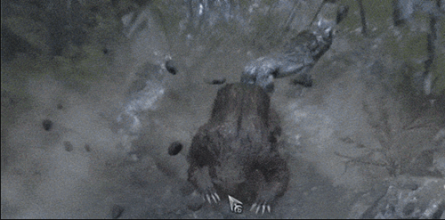 暗黑破坏神4德鲁伊变身召唤流玩法全解析