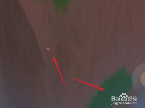 摩尔庄园手游毛毛紫水晶的获取指南：黑森林探险全攻略