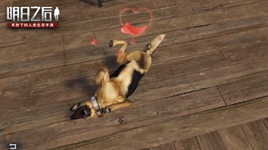 明日之后云养狗全攻略：互动系统升级详解与实用技巧