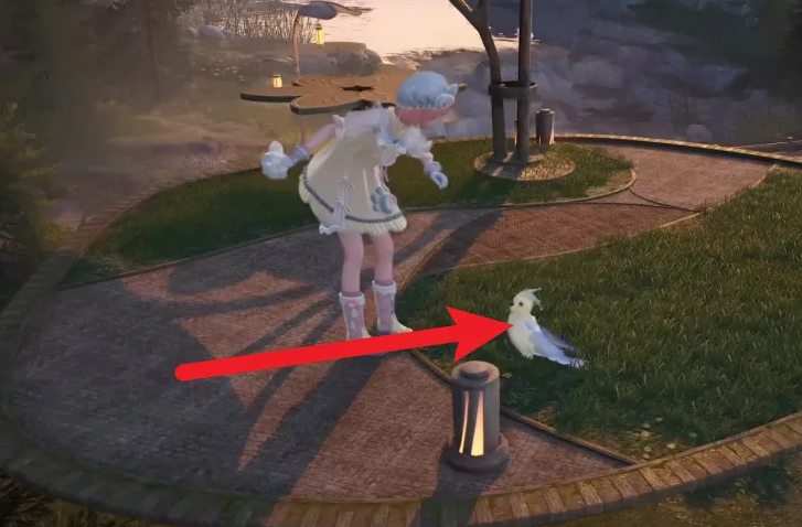 无限暖暖明珠翎羽的获取之道