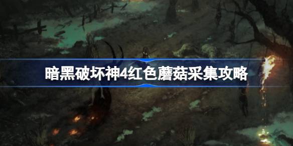 暗黑破坏神4红色蘑菇的位置与采集全攻略
