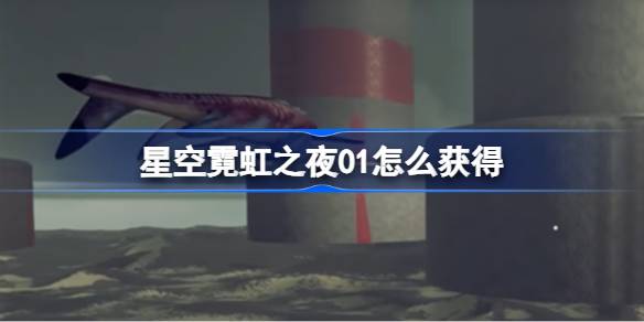 星空霓虹之夜01的获取、作用及使用注意事项