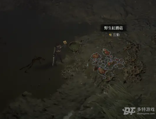 暗黑破坏神4红色蘑菇的位置与采集全攻略