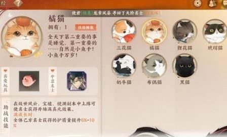 忘川风华录猫外观捏脸码数量有多少