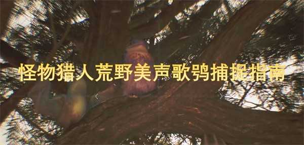 怪物猎人荒野美声歌鸮捕捉全攻略