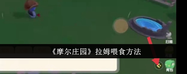 摩尔庄园拉姆喂食全攻略