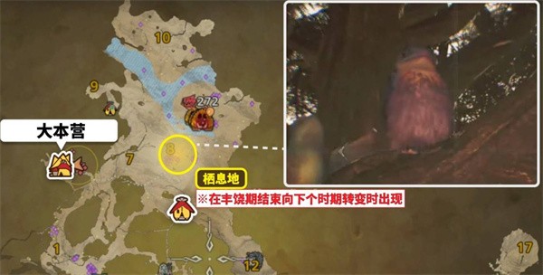 怪物猎人荒野美声歌鸮捕捉全攻略