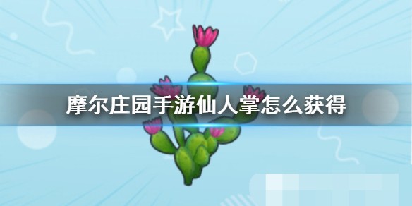 摩尔庄园手游仙人掌的获取方法