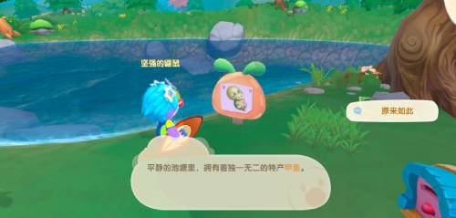 摩尔庄园高级鱼饵的购买地点与使用价值