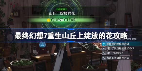 最终幻想7：重生 山丘上绽放的花任务攻略