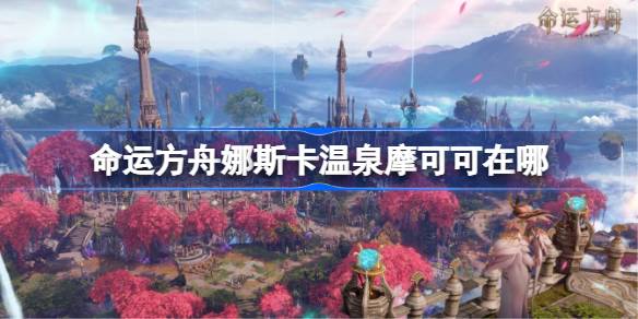 探索娜斯卡温泉摩可可：寻找过程中的乐趣与惊喜