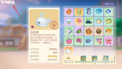 摩尔庄园白鲸的钓鱼攻略：鱼饵、鱼竿与技巧全解析