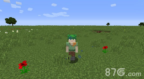 我的世界海龟壳制作与妙用