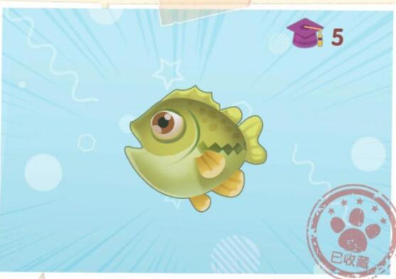 摩尔庄园手游桂花鱼怎么找：家园鱼塘全天可见，注意背刺安全