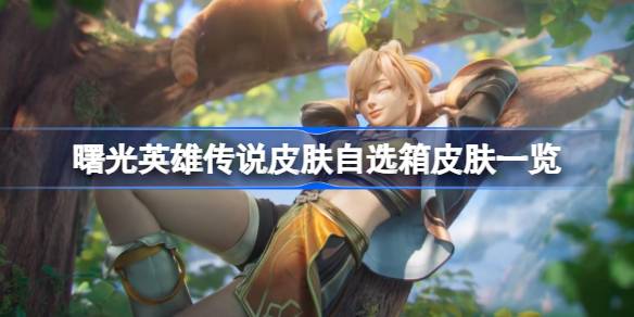 曙光英雄传说：探索自选箱中的传奇皮肤