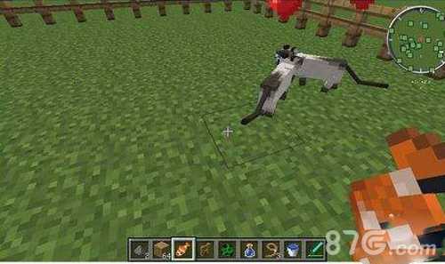 我的世界猫繁殖全攻略