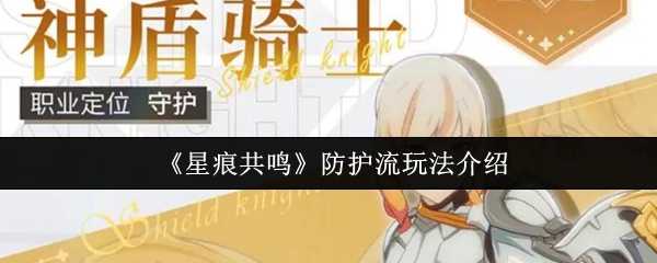 星痕共鸣防护流实战攻略与心得