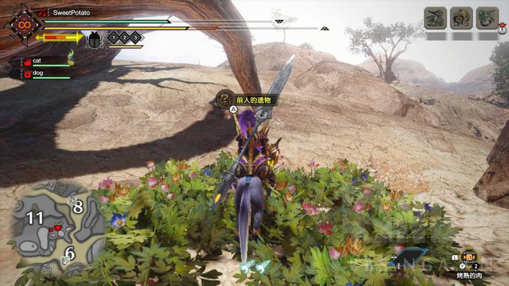 怪物猎人崛起沙原手记全位置指南