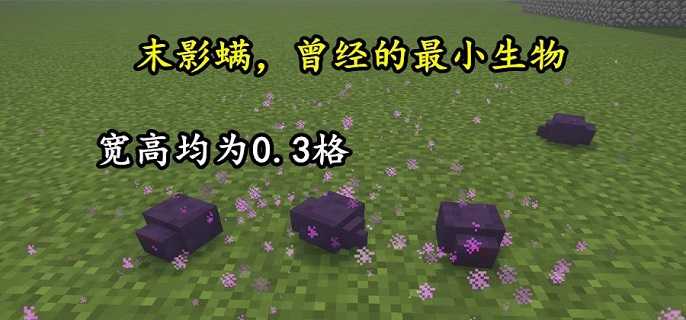 我的世界末影螨生成行为深度解析