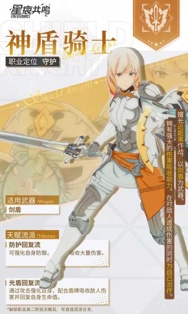 星痕共鸣防护流实战攻略与心得