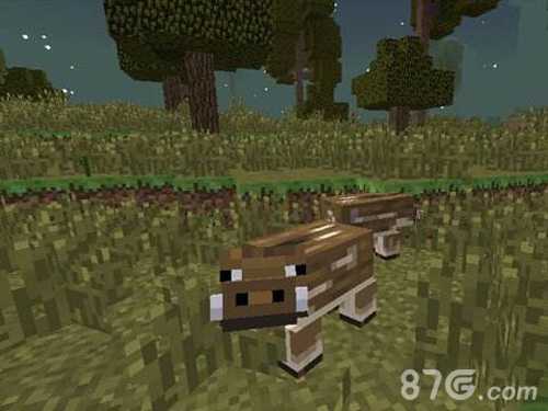 我的世界野猪驯服全攻略