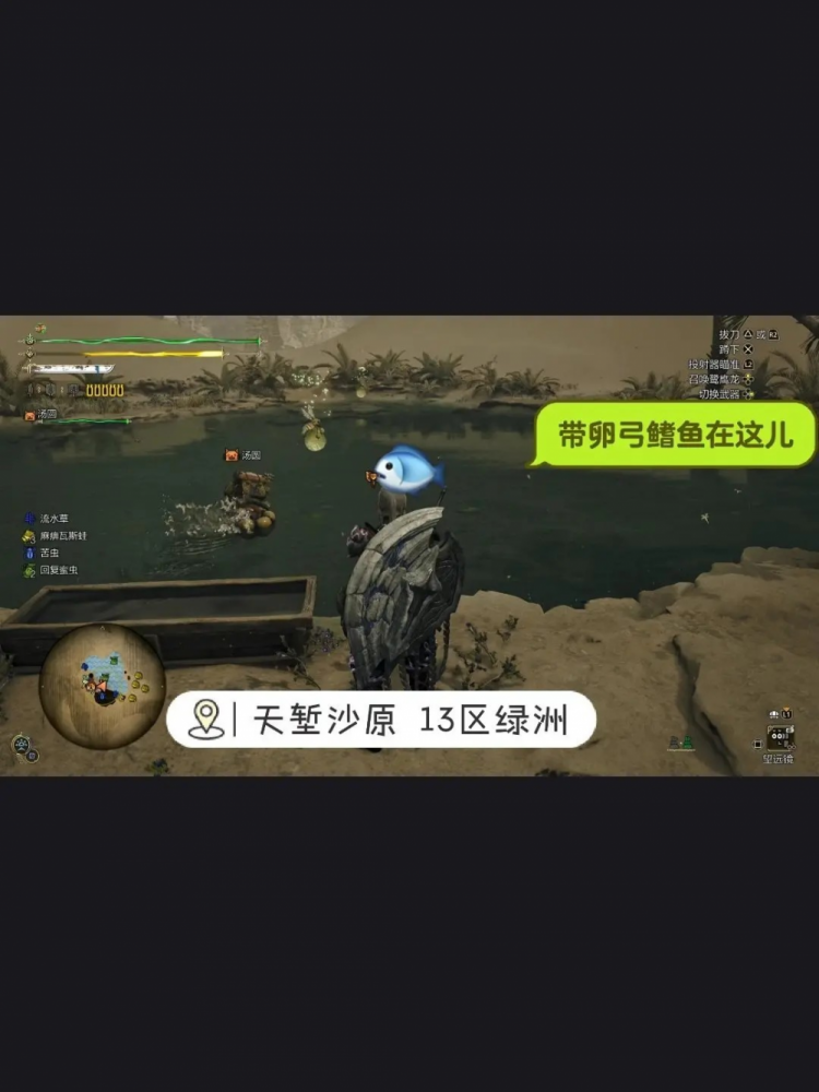 怪物猎人荒野钓鱼全攻略：任务、位置与技巧