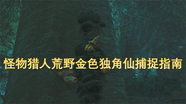 怪物猎人荒野金色独角仙怎么抓：详细捕捉指南