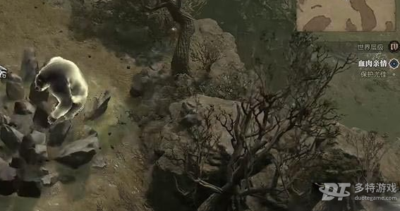 暗黑破坏神4血肉亲情任务攻略：完整步骤与关键点解析