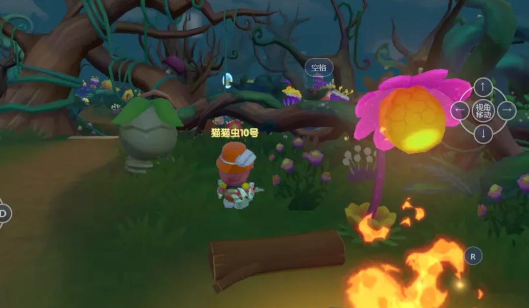 摩尔庄园黑森林探险全攻略：钓鱼、采集与任务心得