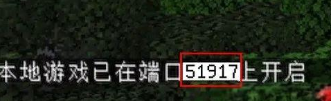 我的世界PCL2联机全攻略