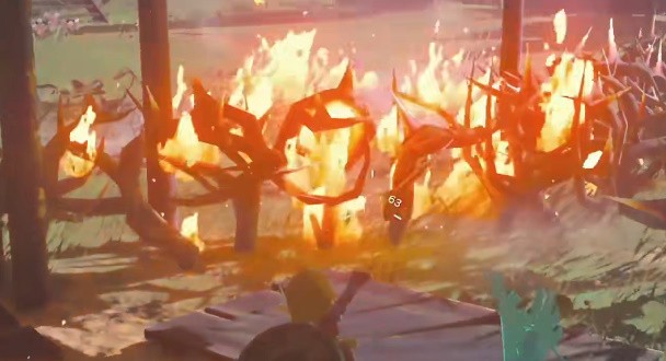 拉贝拉湿地带鸟望台怎么进去塞尔达传说王国之泪解锁攻略