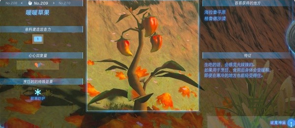 塞尔达传说王国之泪暖暖草果料理全攻略：获取、配方与实用技巧