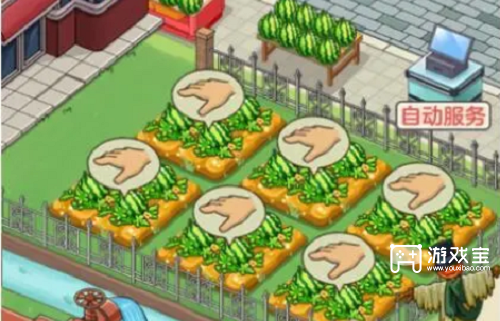 有机果园的赚钱之道：耐心经营与策略布局