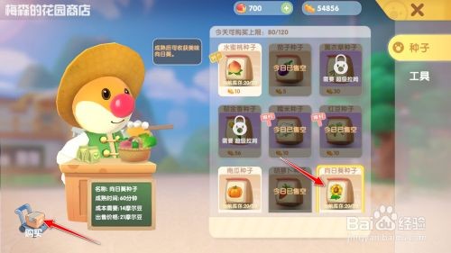 摩尔庄园手游向日葵种子获取攻略：购买位置、价格及用途详解