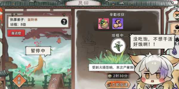 最强祖师弟子的获取与选择之道