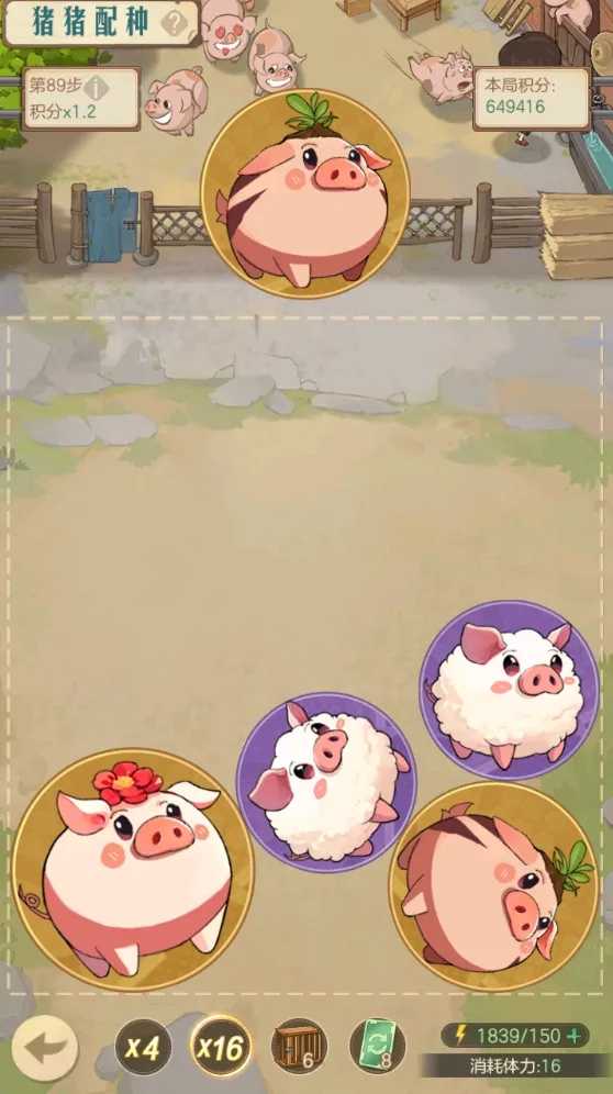 时光杂货店猪猪配种活动玩法技巧分享